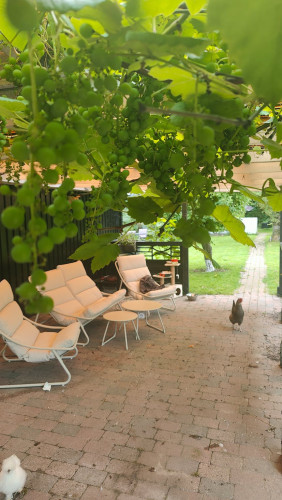 Korsevænget, Ringsted - Gallery - 5