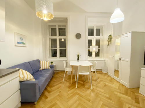 Große Neugasse, Vienna  - Gallery -  5