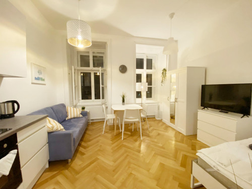 Große Neugasse, Vienna