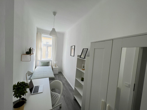 Reinprechtsdorfer Straße, Vienna