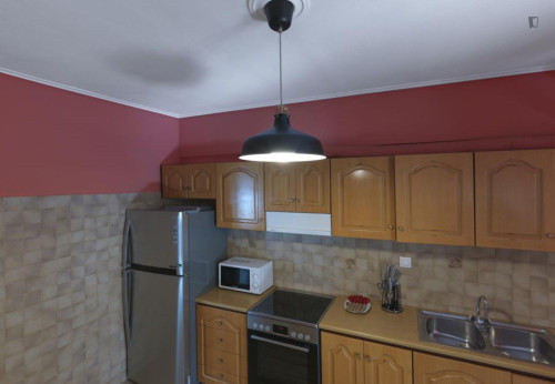 Attractive 2-bedroom apartment in Zografou