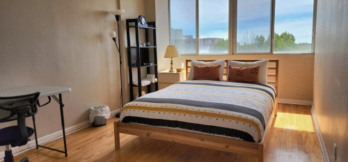 Spacious & Relaxed Apartment - Gallery - 9