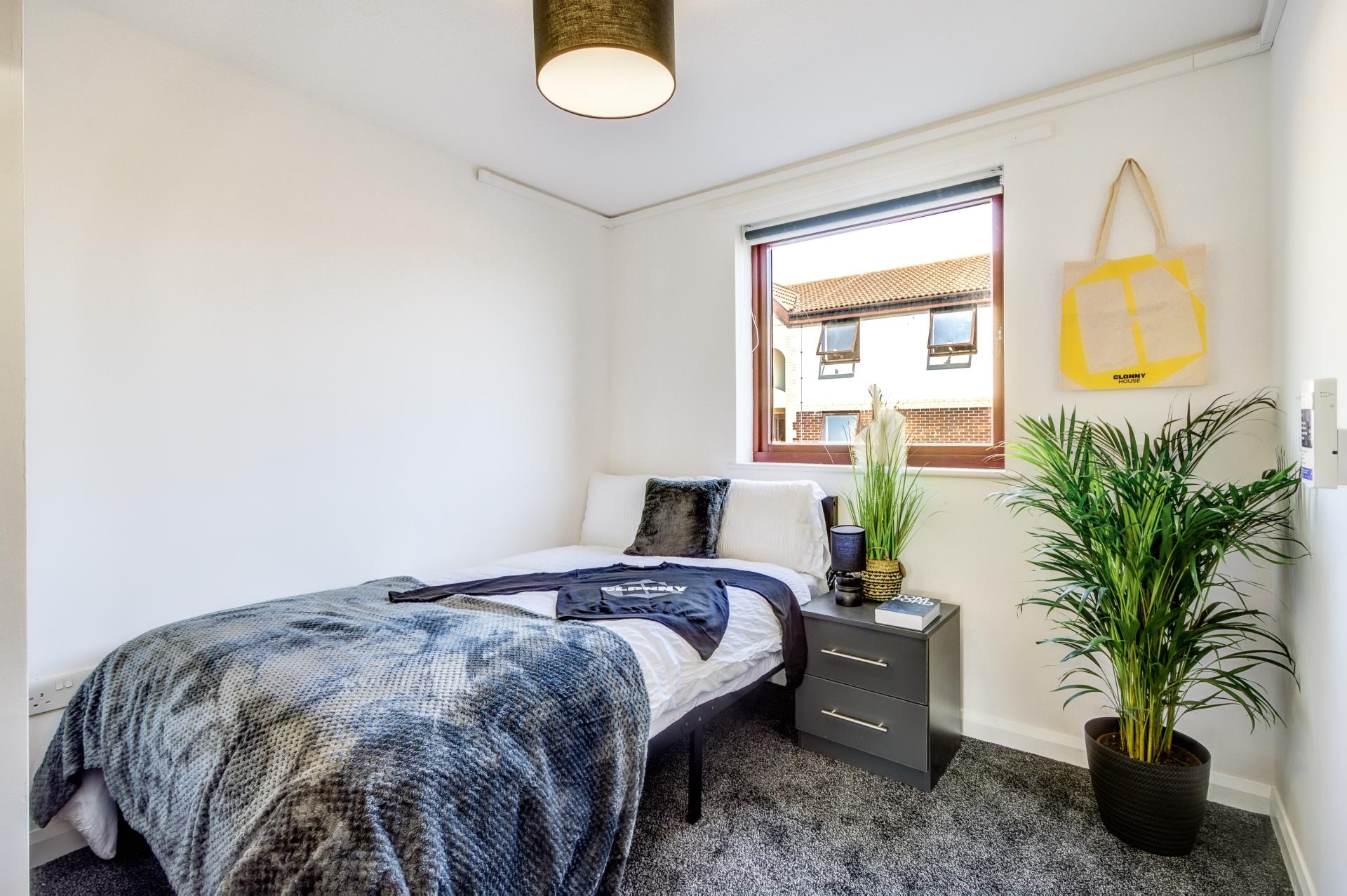 Standard Room - 10