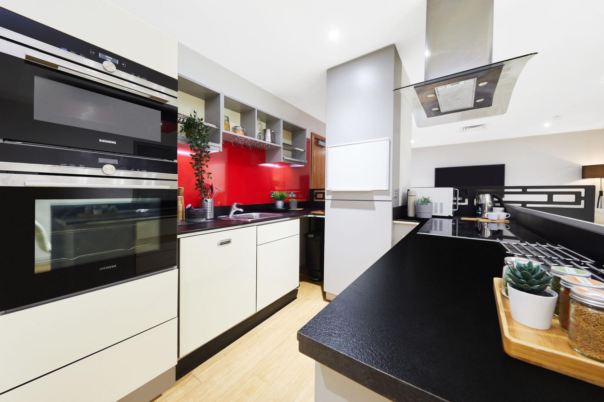  Classic Plus Studio  -  Corporation Village  - Gallery -  5