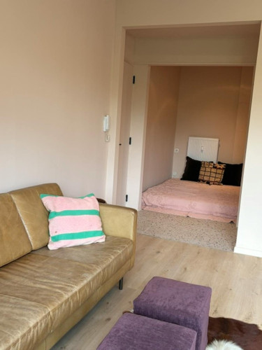 Doornelei, Antwerpen  - Gallery -  5