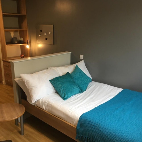 Lady Nicolson Court Roost  - Gallery -  5