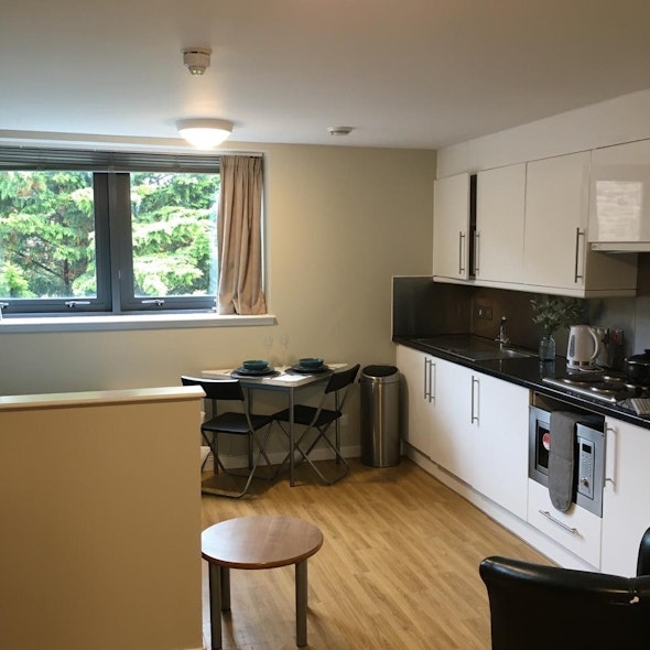  Studio Bronze  -  Lady Nicolson Court Roost  - Gallery -  4