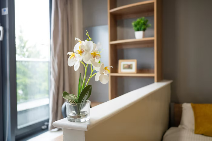 ستوديو سلفر - ليدي نيكلسون كورت - Gallery - 4