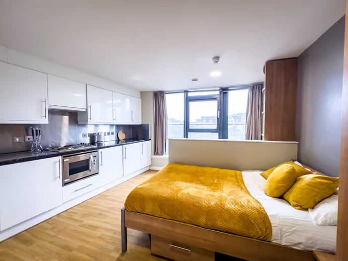  Studio Silver  -  Lady Nicolson Court Roost  - Gallery -  5