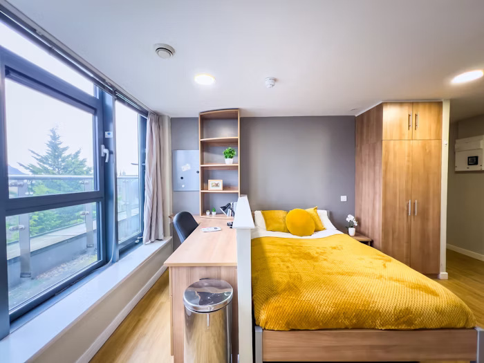  Studio Silver  -  Lady Nicolson Court Roost  - Gallery -  8