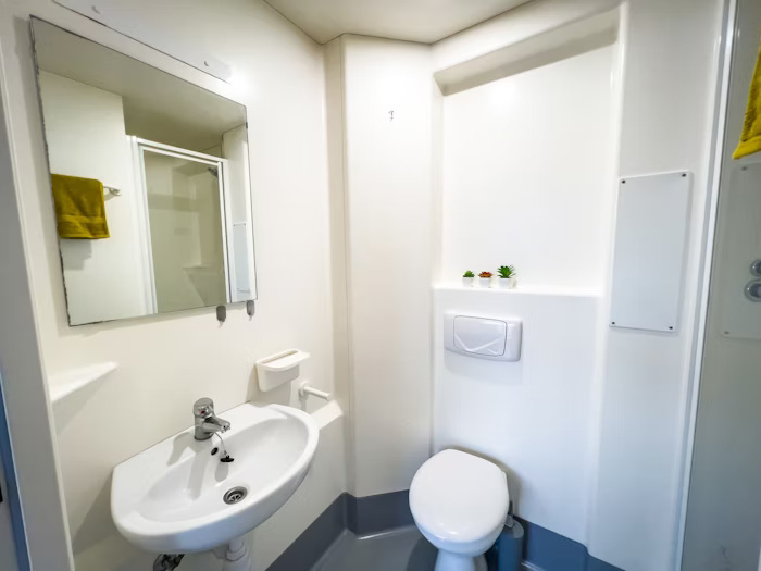  Studio Silver  -  Lady Nicolson Court Roost  - Gallery -  3