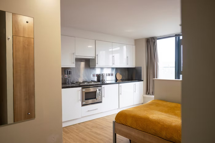  Studio Silver  -  Lady Nicolson Court Roost  - Gallery -  2