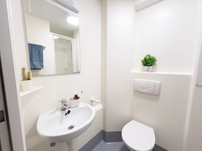  Studio Gold  -  Lady Nicolson Court Roost  - Gallery -  3