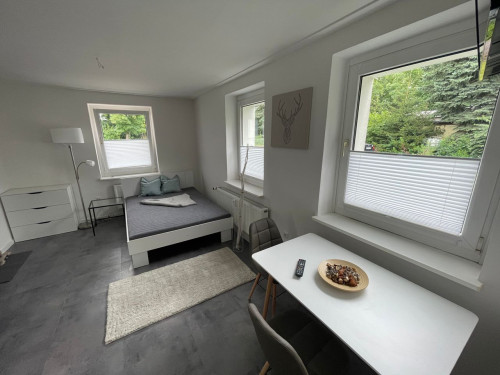 Fully Furnished 1-Room Apartment Next to Leipzig Trade Fair with Parking