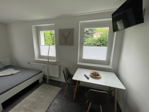 Fully Furnished 1-Room Apartment Next to Leipzig Trade Fair with Parking
