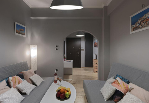 Inviting 1-bedroom flat near the Webster University  - Gallery -  5