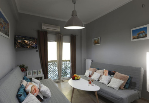 Inviting 1-bedroom flat near the Webster University