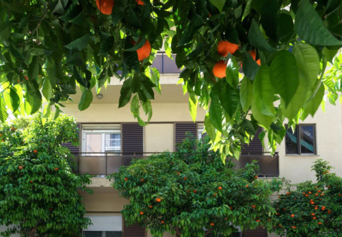 Alluring 2-bedroom apartment in Kallimármaro