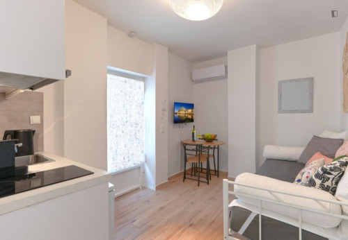 1-Bedroom apartment in Neos Kosmos