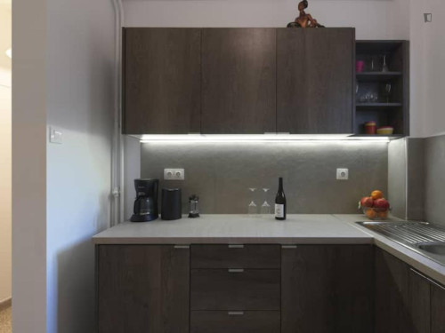 Cosy 1-bedroom apartment near University of Economics and Business