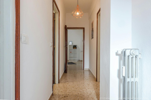 Via Ugo Foscolo, Pisa - Gallery - 7