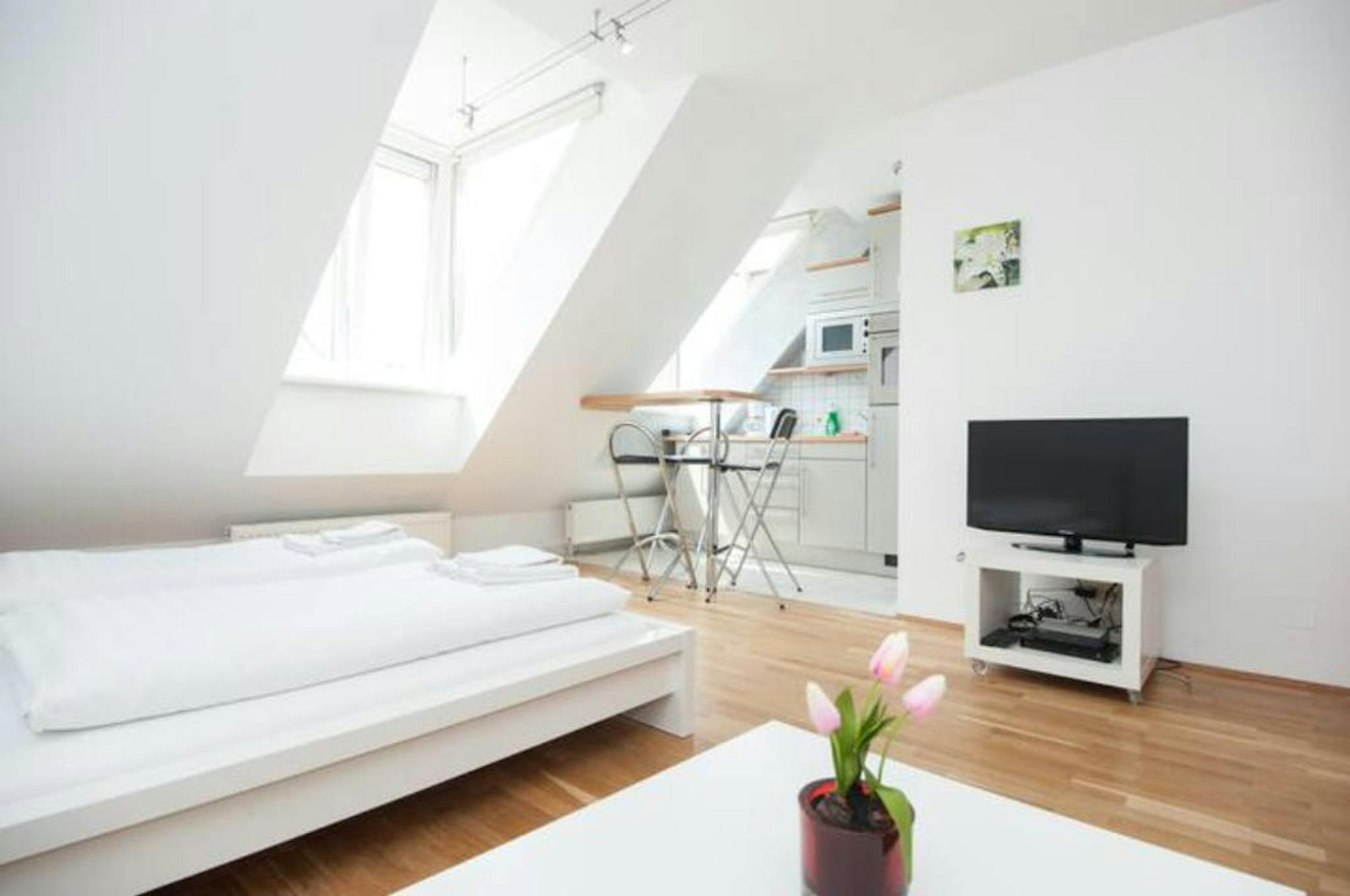  Entire Place  -  Mariannengasse, Vienna  - Gallery -  1