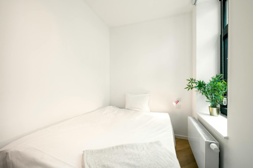 Rue des Capucins, Brussels  - Gallery -  5