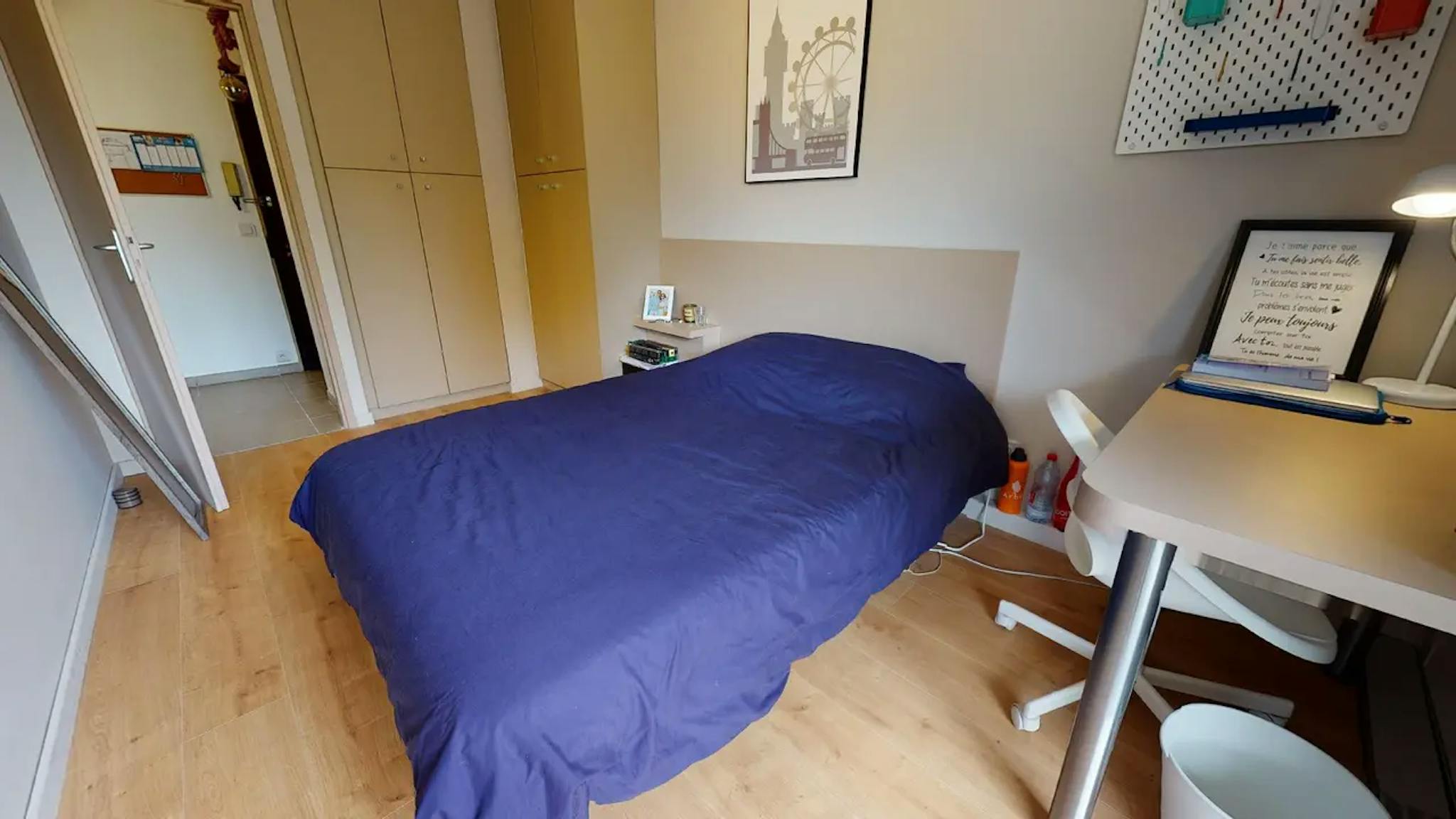  Private Room  -  Rue Jean Sarrazin, Lyon  - Gallery -  2