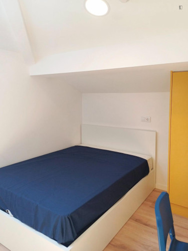 Exquisite studio near Universidade de Coimbra