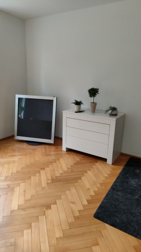 Spacious & pretty loft (Saalfelder Höhe)  - Gallery -  2