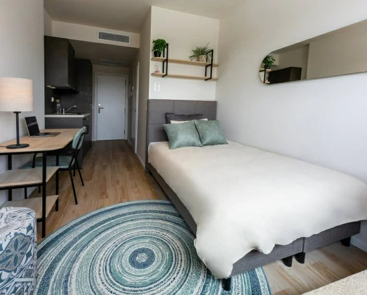  Prestige Studio  -  Student housing in Granada  - Gallery -  2