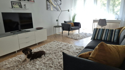 Mátyáshegyi köz, Budapest