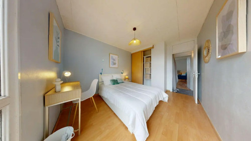 Avenue Barthélémy Buyer, Lyon