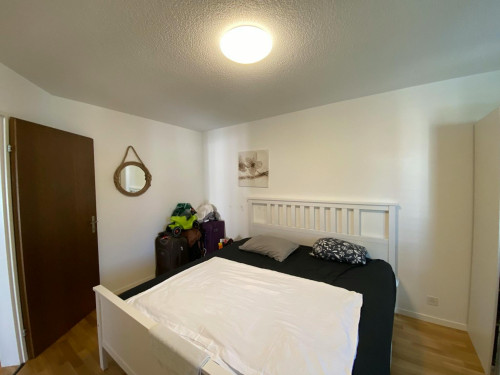 Aprikosenstrasse, Zürich - Gallery - 17