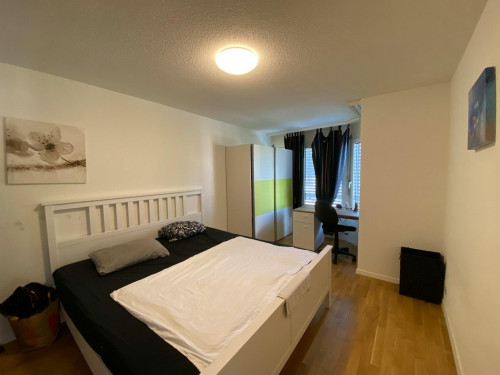 Aprikosenstrasse, Zürich - Gallery - 18