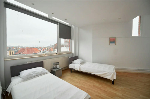 Bothastraat, Antwerpen - Gallery - 9