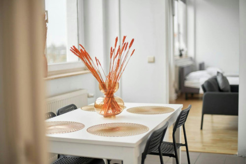 Bothastraat, Antwerpen - Gallery - 8