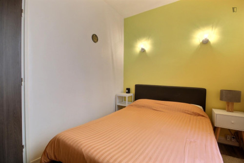 Welcoming 2-bedroom flat near the SFU Paris  - Gallery -  5
