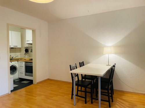 Am schönen Zoopark: ruhiges Apartment, 1 großes Zimmer mit Kochnische, Badezimmer und Diele - Gallery - 7