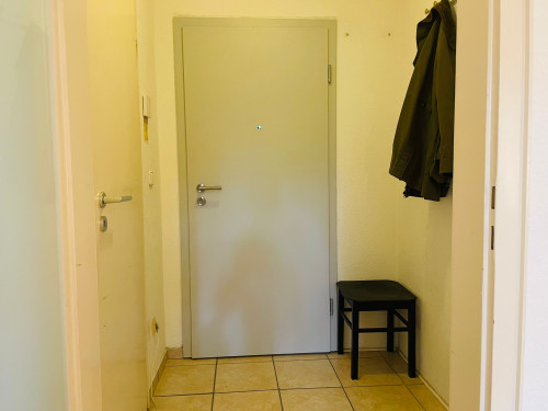Am schönen Zoopark: ruhiges Apartment, 1 großes Zimmer mit Kochnische, Badezimmer und Diele - Gallery - 5