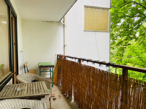 Am schönen Zoopark: ruhiges Apartment, 1 großes Zimmer mit Kochnische, Badezimmer und Diele - Gallery - 10