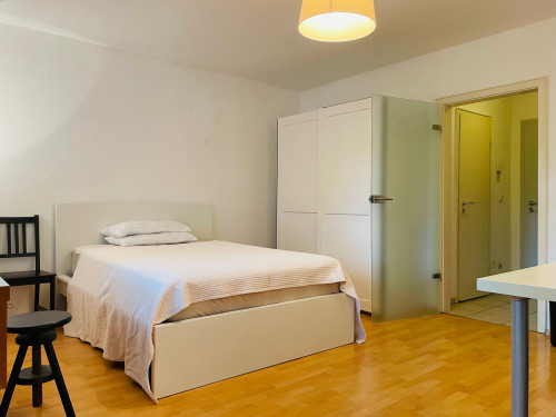 Am schönen Zoopark: ruhiges Apartment, 1 großes Zimmer mit Kochnische, Badezimmer und Diele