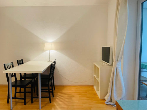Am schönen Zoopark: ruhiges Apartment, 1 großes Zimmer mit Kochnische, Badezimmer und Diele - Gallery - 8