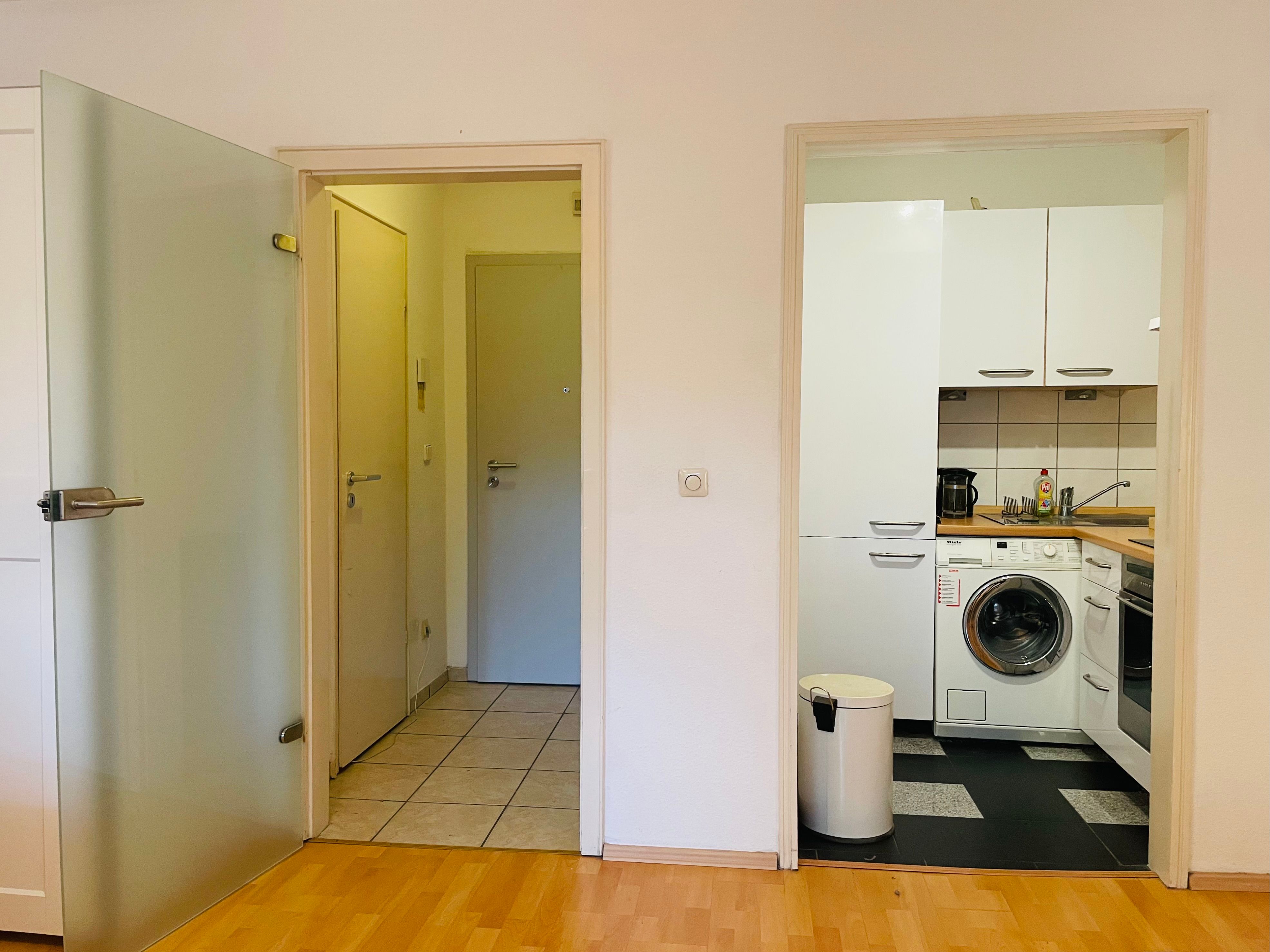 Am Schönen Zoopark: Ruhiges Apartment, 1 Großes Zimmer Mit Kochnische, Badezimmer Und Diele - 6