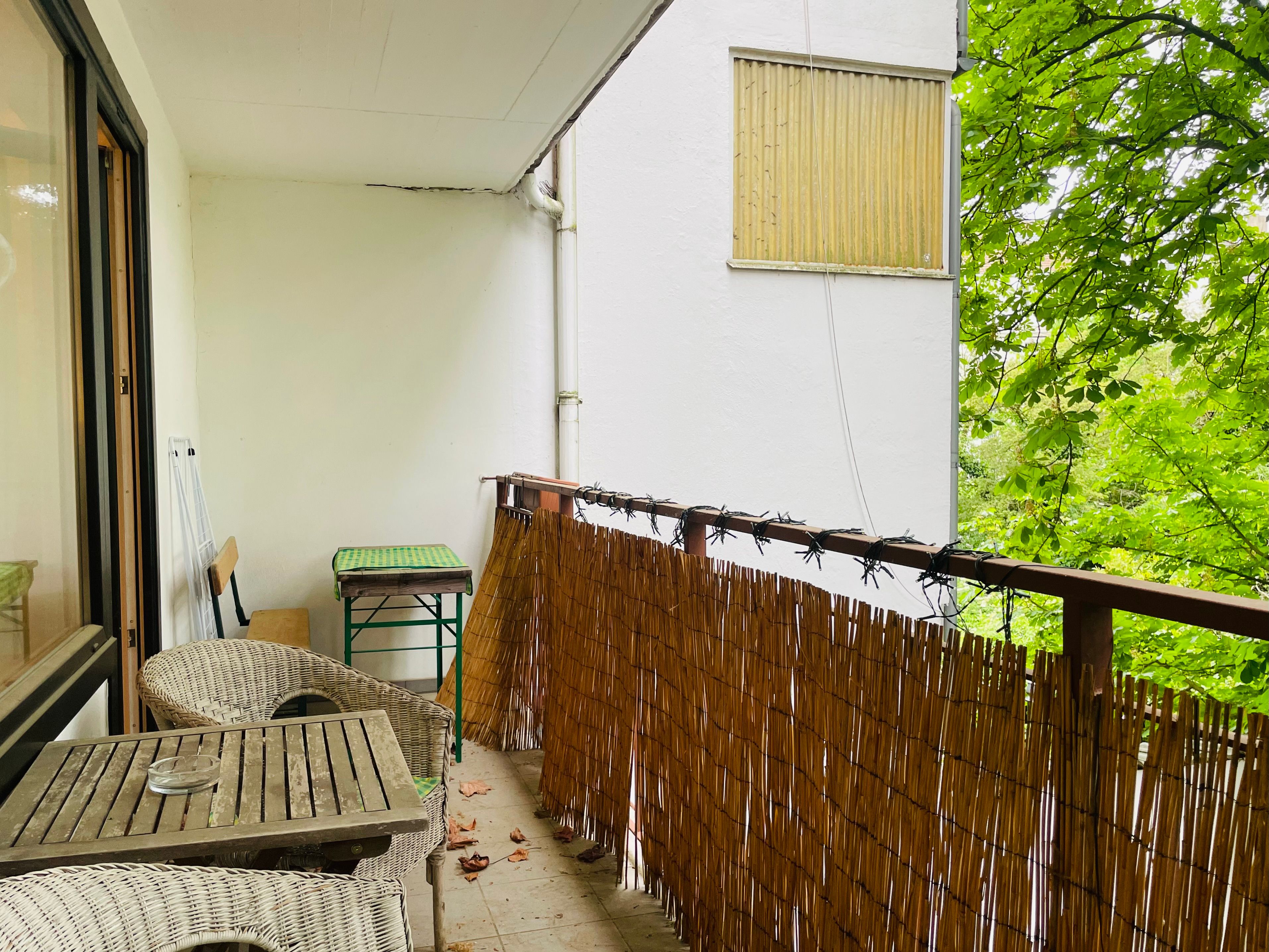 Am Schönen Zoopark: Ruhiges Apartment, 1 Großes Zimmer Mit Kochnische, Badezimmer Und Diele - 2