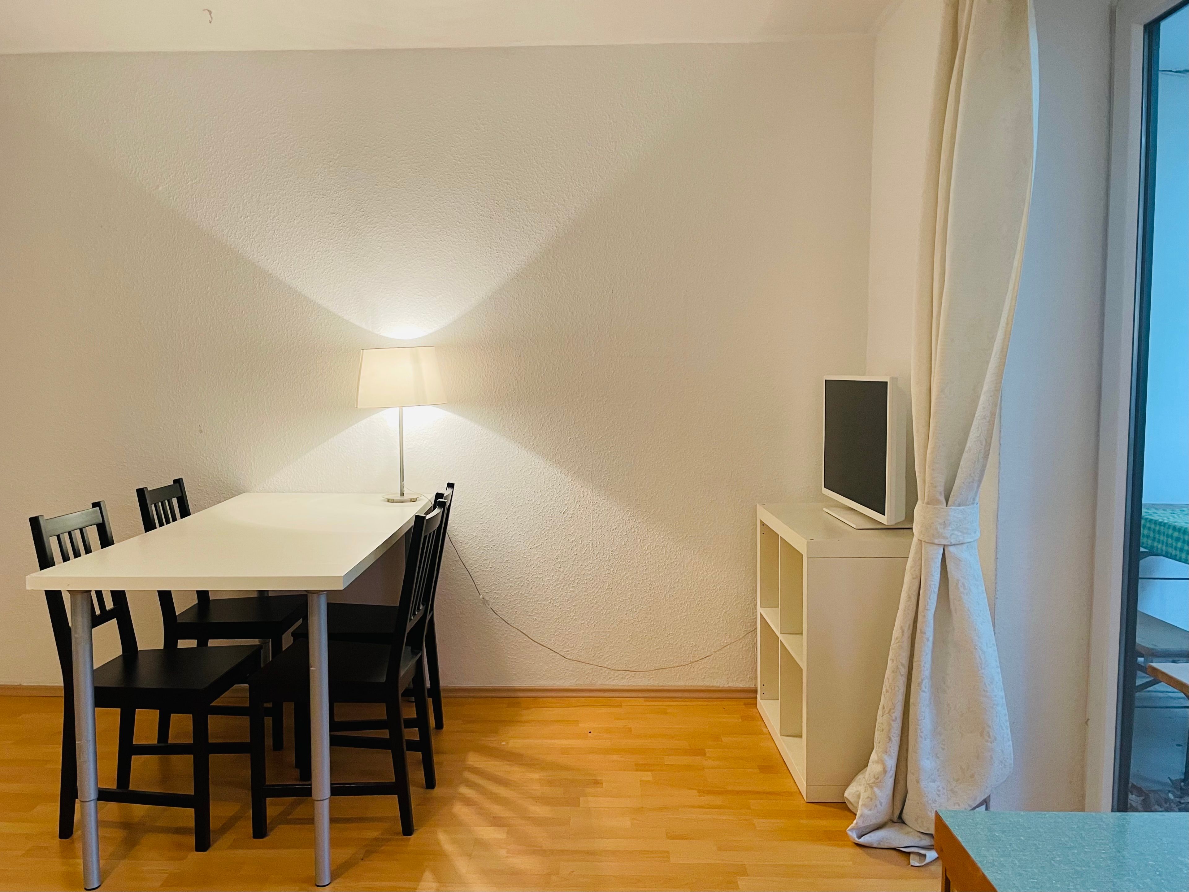 Am Schönen Zoopark: Ruhiges Apartment, 1 Großes Zimmer Mit Kochnische, Badezimmer Und Diele - 4