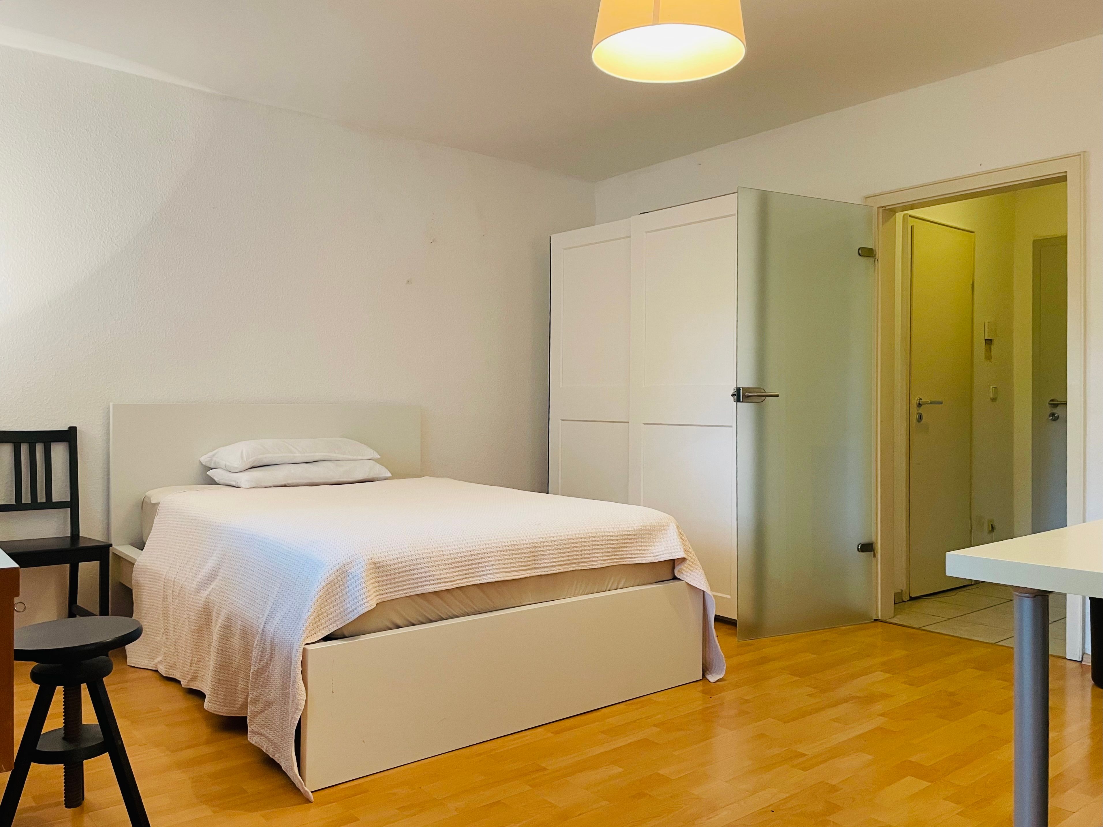 Am Schönen Zoopark: Ruhiges Apartment, 1 Großes Zimmer Mit Kochnische, Badezimmer Und Diele - 8