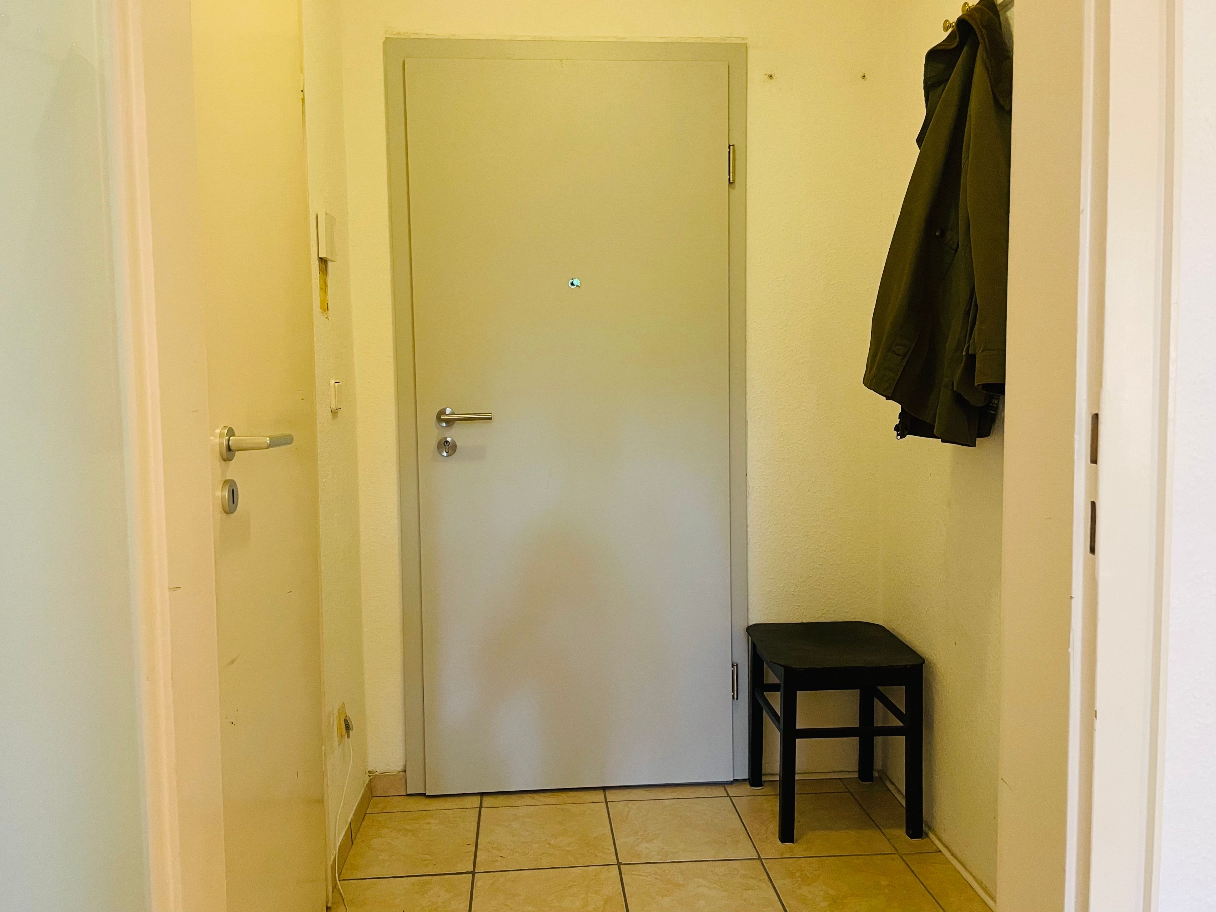 Am Schönen Zoopark: Ruhiges Apartment, 1 Großes Zimmer Mit Kochnische, Badezimmer Und Diele - 7