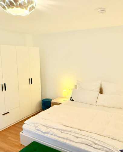 Exclusive Renovated & Furnished Apartment in City Center - Gallery - 13