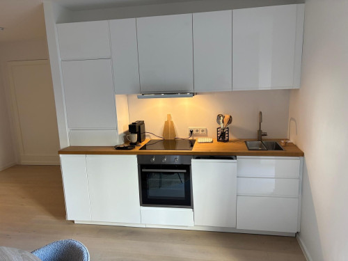 First Occupancy Period Gem 2-Room Apartment, Fully Renovated, Furnished with Terrace